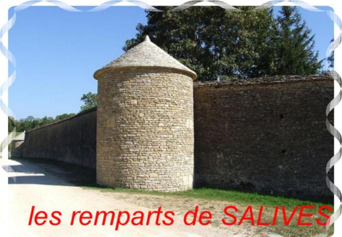 Le Puits Fortifie Salives Екстер'єр фото